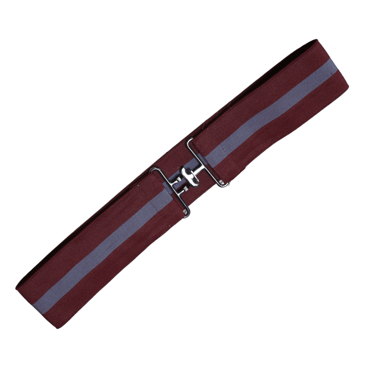 EBB Elastic Striped Belt with Surcingle Buckle