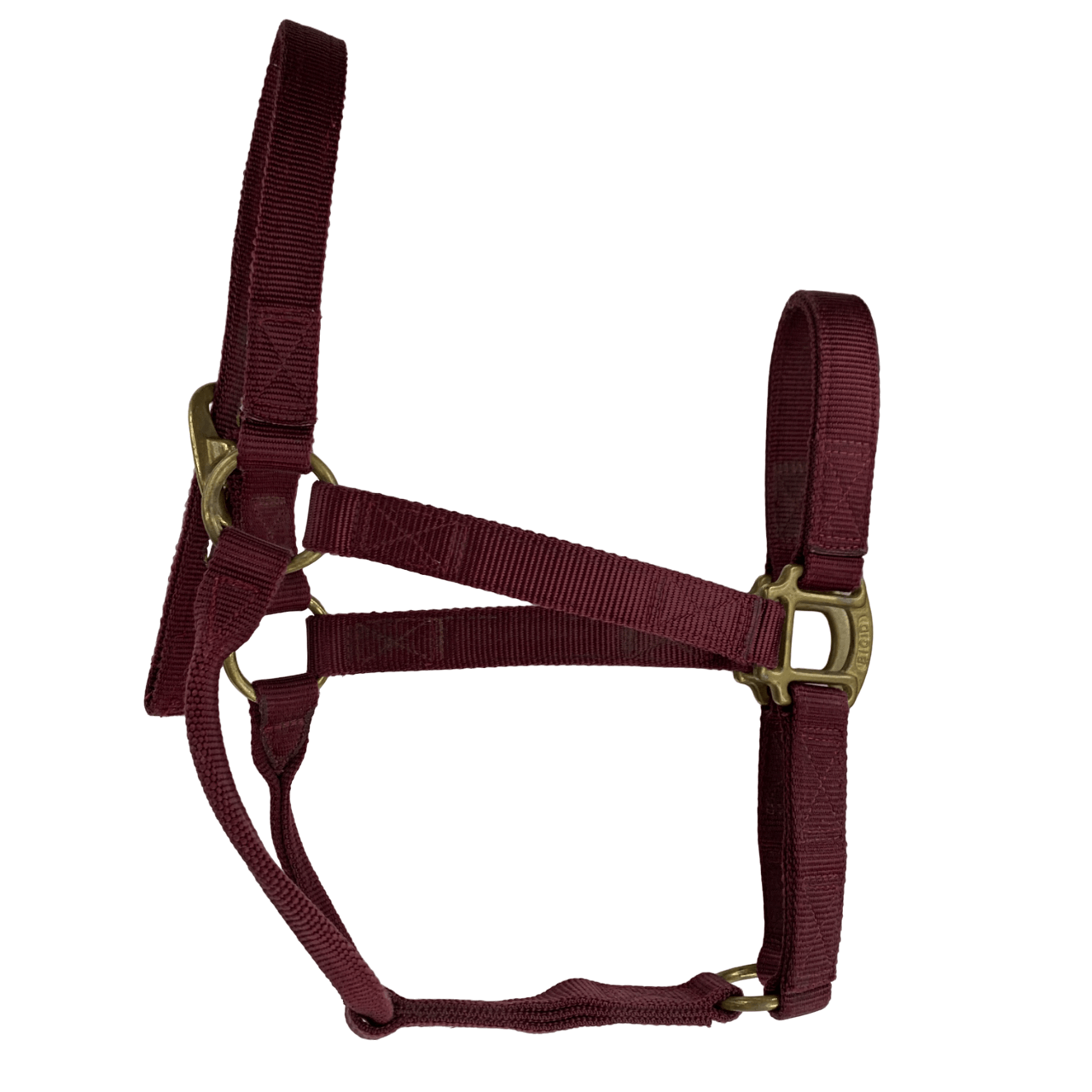 Big "D" Nylon Halter