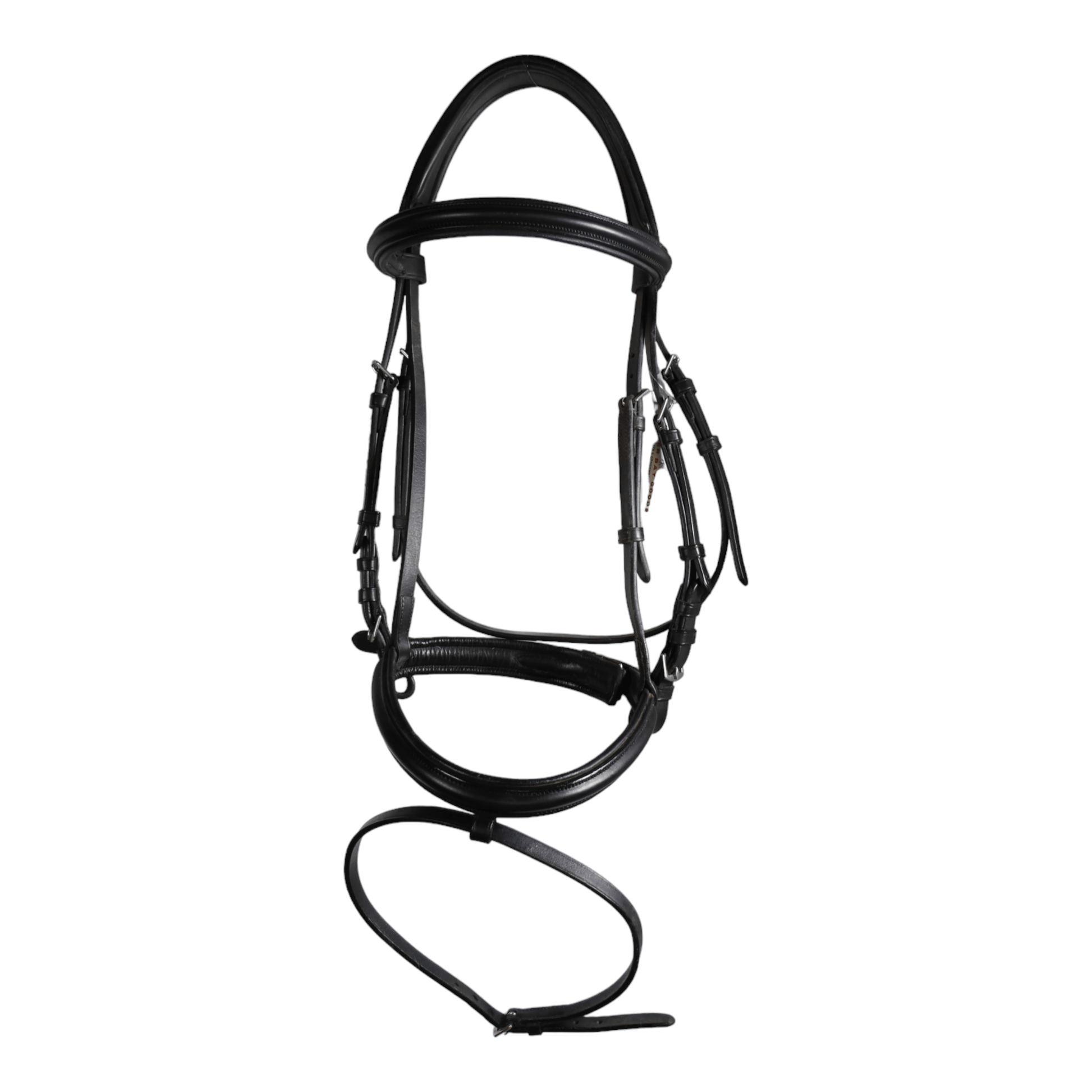 Dressage Bridle