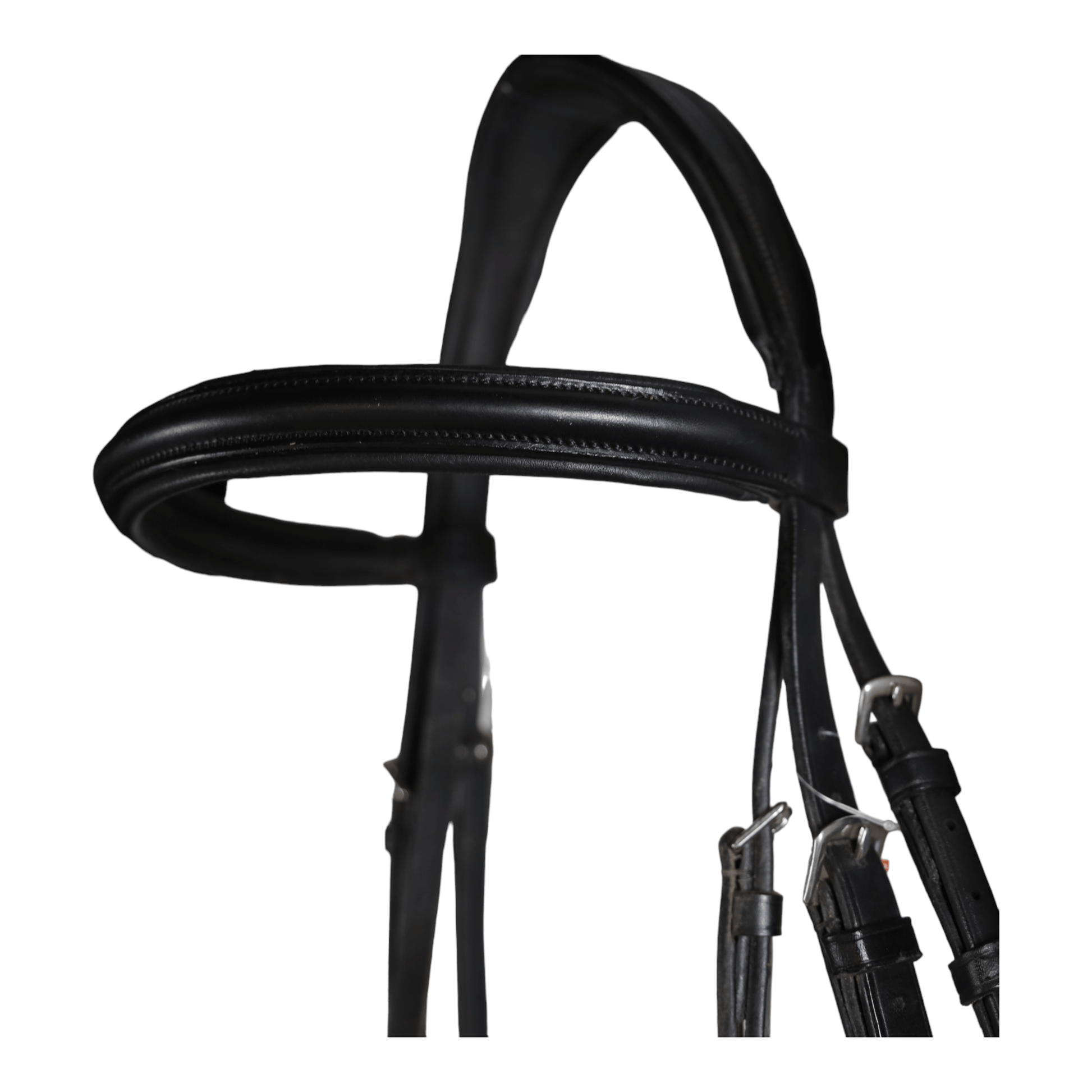 Dressage Bridle