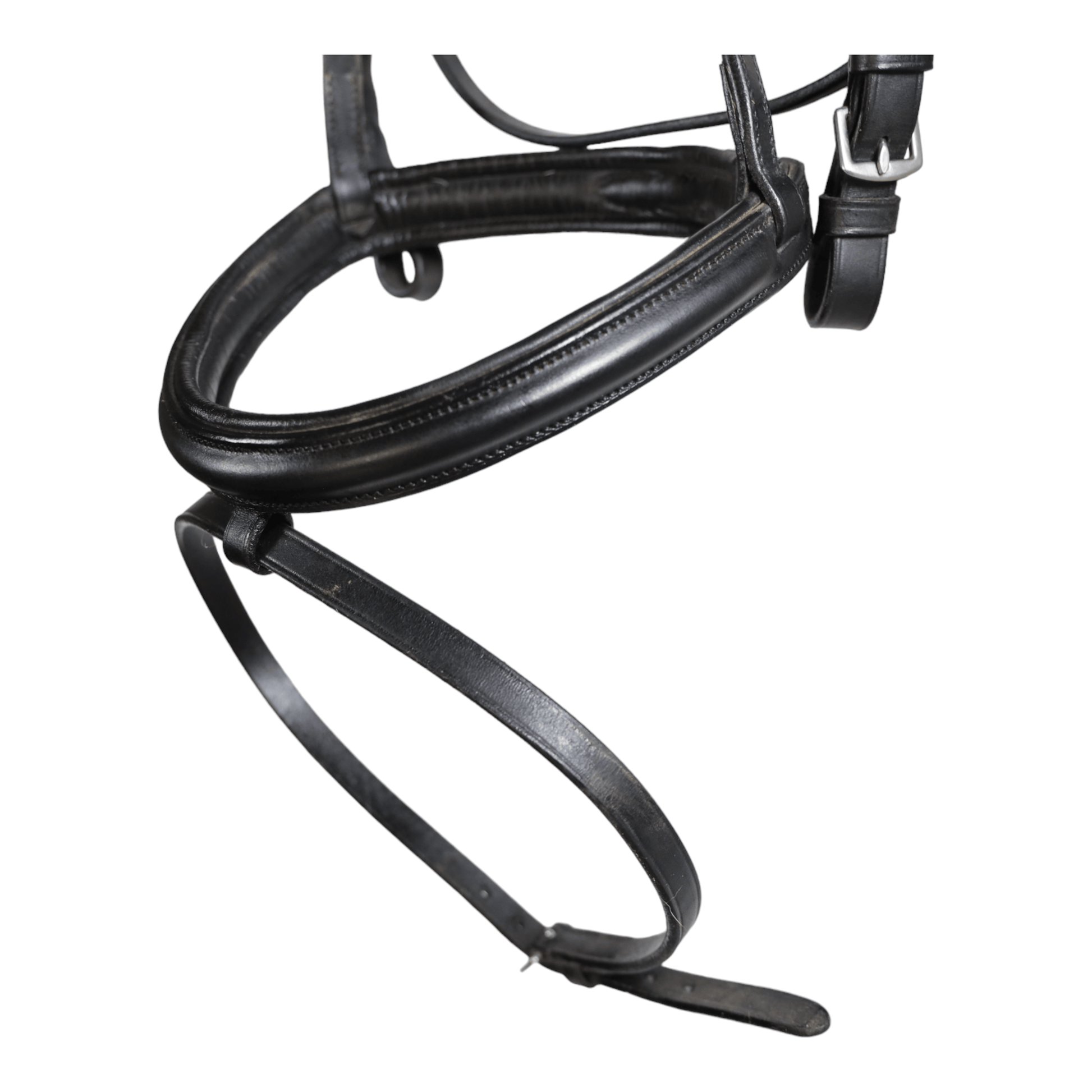 Dressage Bridle